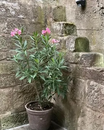 Am Kalkweg Bad Sooden-Allendorf