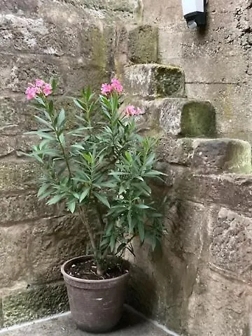 Am Kalkweg Bad Sooden-Allendorf